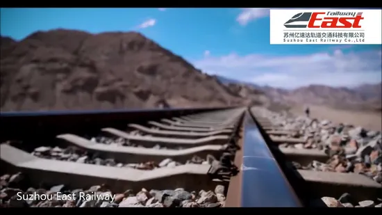 Rail Clip, E Clip, Fast Clip, for Railway 